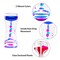 Liquid Motion Bubbler for Sensory Play, Fidget Toy, Children Activity, Desk Top, Assorted Colors (1 Piece)